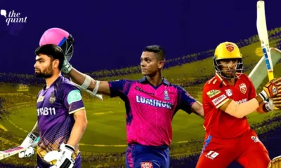thequint 2023 05 91fa0af7 65fa 4155 8d05 ec02edc48ea3 hero image ipl 1